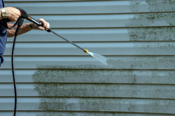 Best Roof Cleaning and Mildew Removal in Vergennes, VT